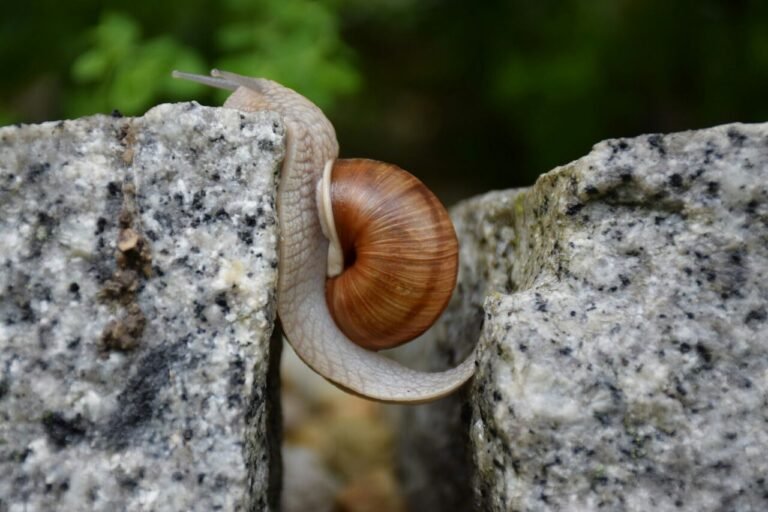 Resiliência: A arte de superar as adversidades.